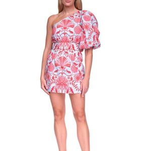 Cara Cara Danielle Dress, Dew Cherry Bellagio